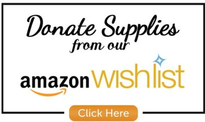 Amazon-wishlist-button